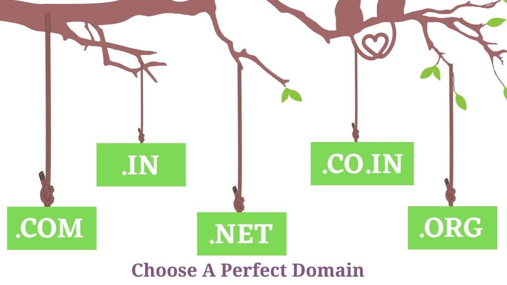 What is Domain Name
